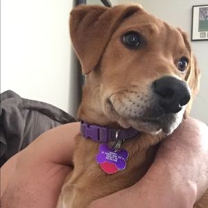 Meet your Posher, Greg